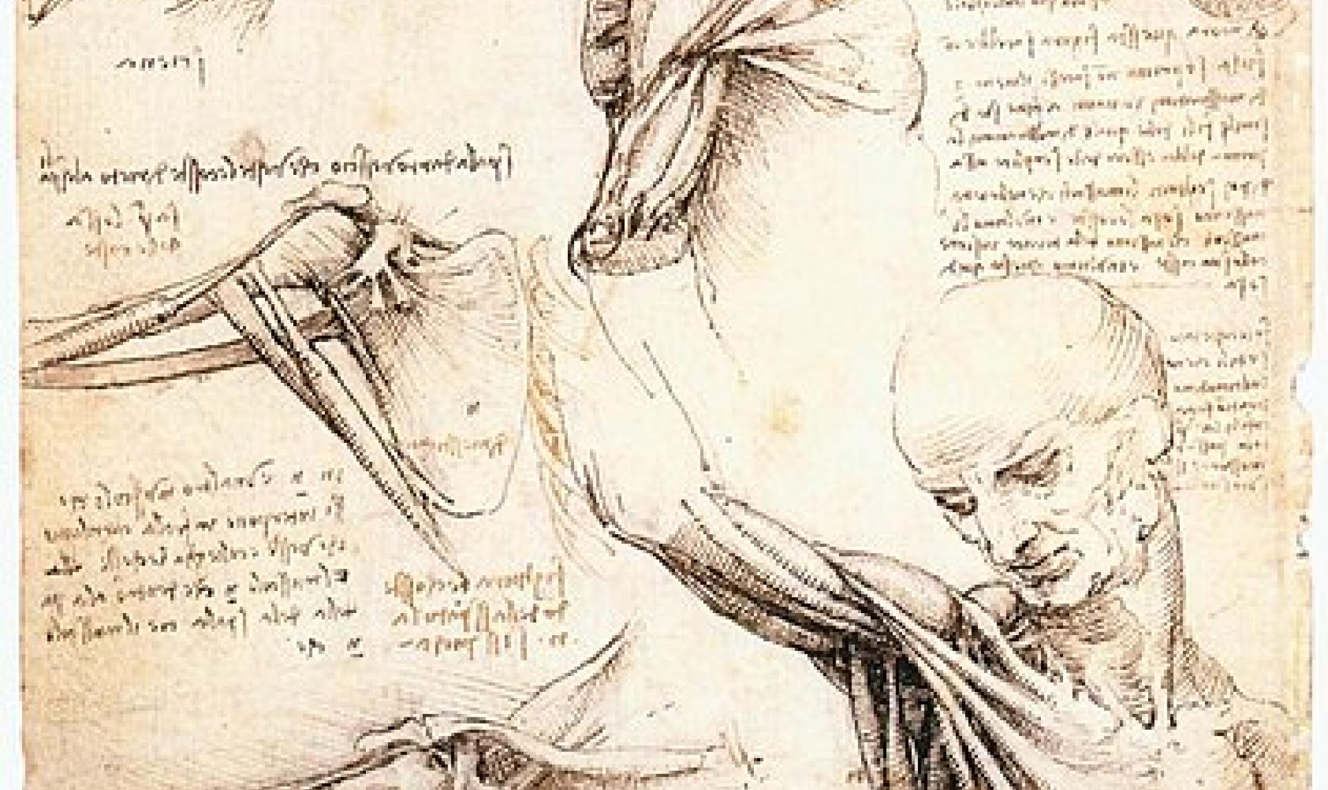 Dessin anatomique d'un homme par Léonard de Vinci